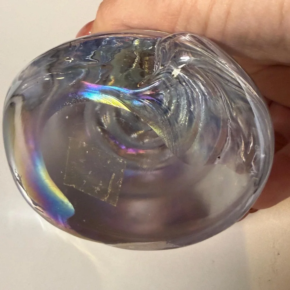 Glass Shell Paperweight | Silvestri Iridescent Art Glass Coastal Decor Seashell